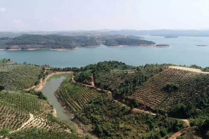 Bộ Kế hoạch Đầu tư có văn bản về việc dừng xem xét hồ sơ đề nghị chấp thuận chủ trương đầu tư dự án KĐT Nam sông Đa Nhim