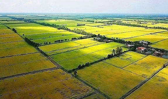 Tiền sử dụng đất tăng cao khi chuyển đổi mục đích sử dụng sang đất ở theo quy định mới xác định hài hòa giá đất tiệm cận với giá thị trường.