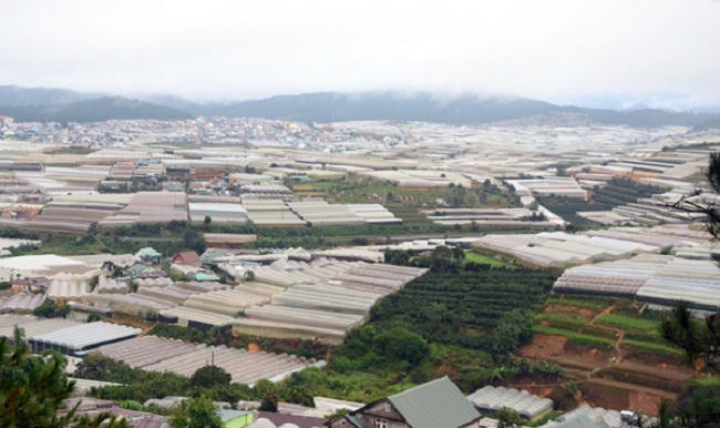 Lâm Đồng: Dự án Khu Công nghiệp – Nông nghiệp Tân Phú “chết yểu” do không có nhà đầu tư 