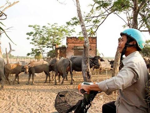 Co&nbsp;dat&nbsp;an theo du du&nbsp;an Sai Gon Safari 'dung hinh'