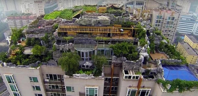 Toàn bộ diện tích 1000m2 trên nóc tòa nhà được bao phủ bởi đất đá