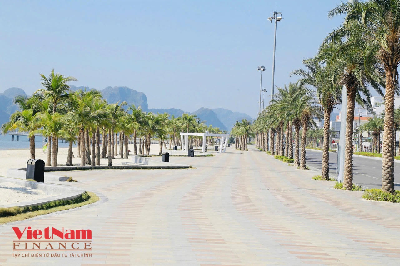 Khảo sát tuyến đường có giá bất động sản đắt nhất Quảng Ninh