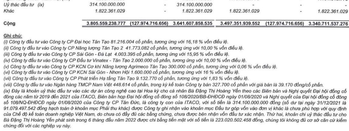 Đầu tư góp vốn vào đơn vị khác (Nguồn: BCTC ITA)