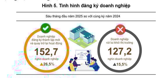 Ảnh: Cục Thống kê.