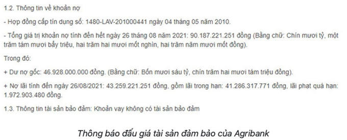 Agribank bán đấu giá chỉ mong “thu hồi nợ gốc” nhưng không ai mua