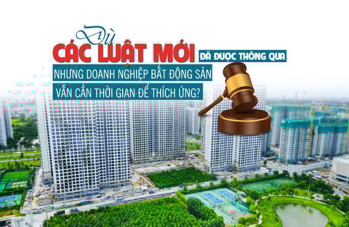 Dù các Luật mới đã được thông qua nhưng doanh nghiệp bất động sản vẫn cần thời gian để thích ứng?