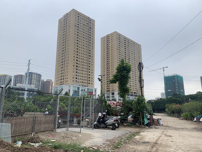 Nhà ở xã hội Rice City Tố Hữu: Đang là bãi đất trống, 'cò' đã rao bán căn hộ