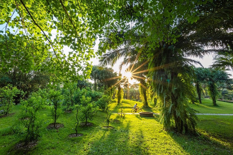 Thời điểm tốt để đón đầu sóng thị trường bất động sản ven sông Hồng