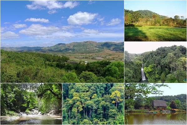 Vườn quốc gia Chư Mom Ray, tỉnh Kon Tum