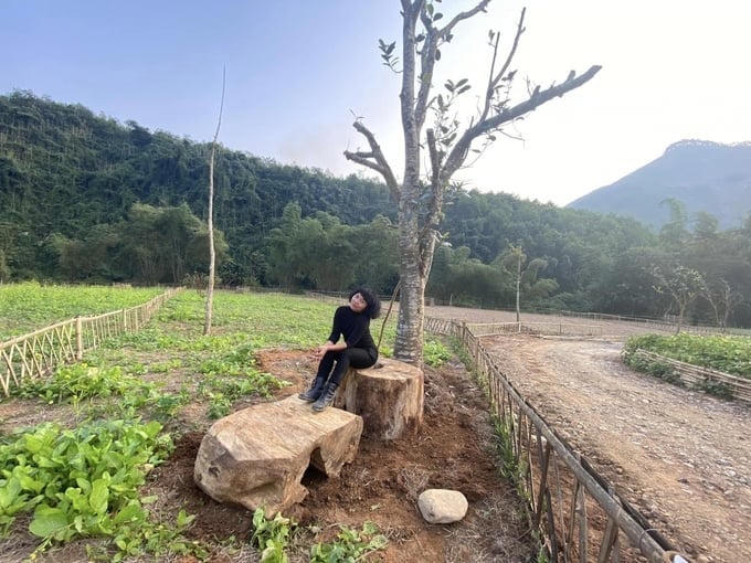 Ca sĩ Thái Thùy Linh sai phạm về đất đai, bị đề nghị xử lý vi phạm