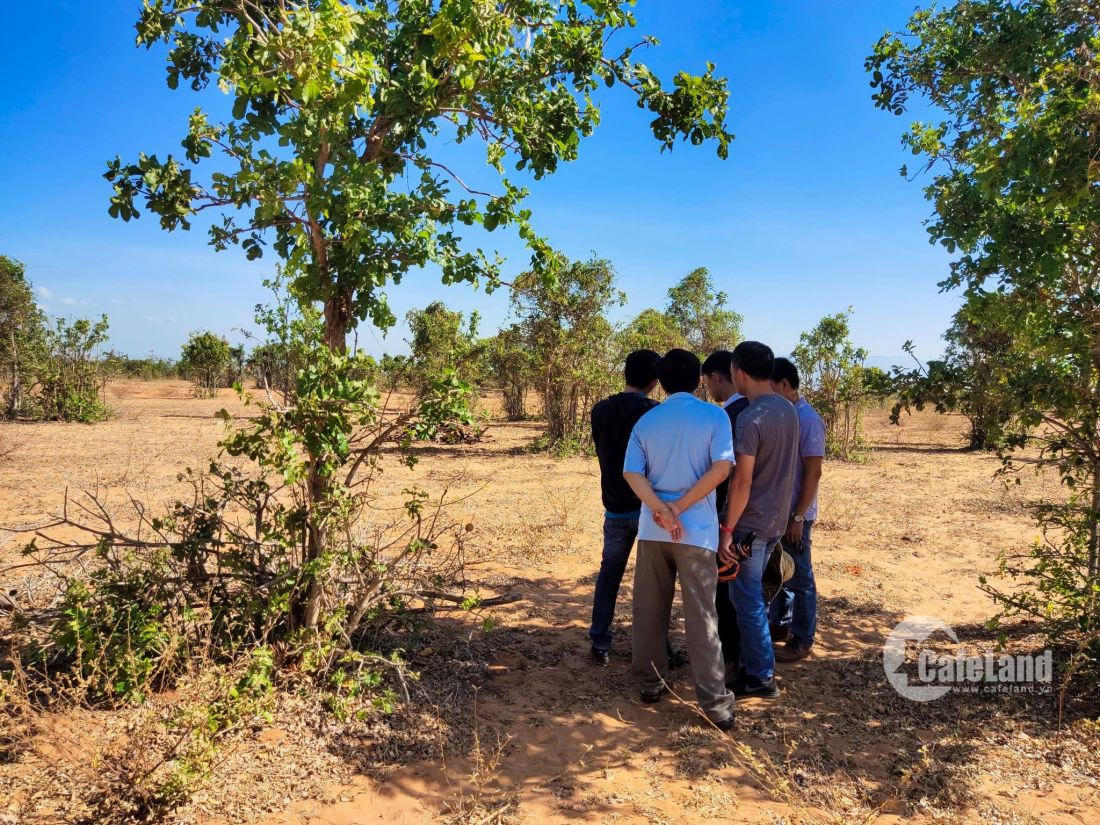 Cần tỉnh táo trước những thông tin giao dịch bán đất nếu không muốn "ngậm trái đắng" (ảnh minh họa) &nbsp;