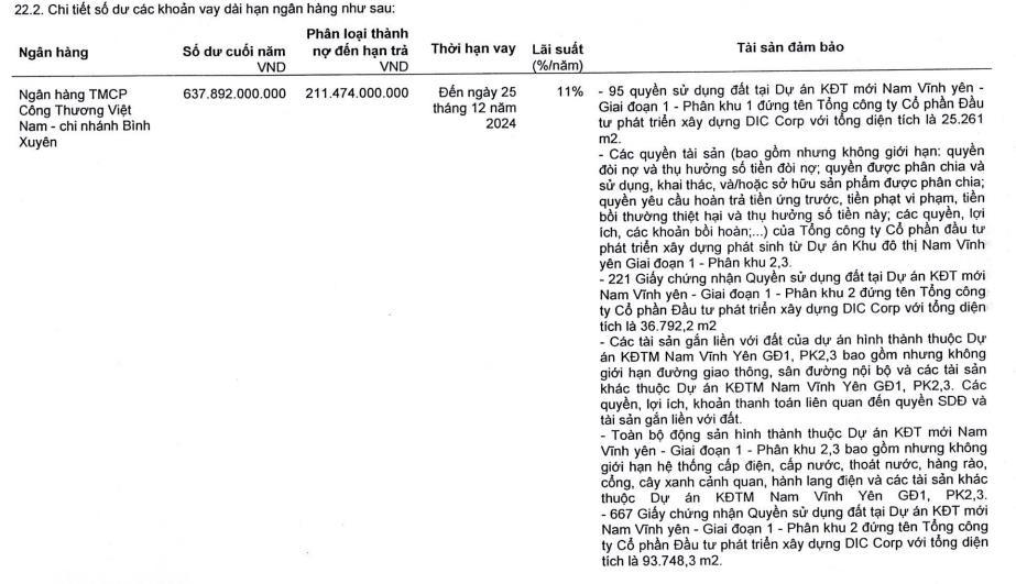 Thuyết minh nợ vay tài chính tại DIG (Nguồn: BCTC hợp nhất kiểm toán năm 2021) &nbsp;