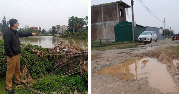 Hình ảnh chỉ mang tính chất minh hoạ