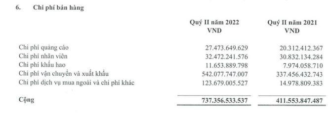 Nguồn: BCTC hợp nhất quý 2/2022.