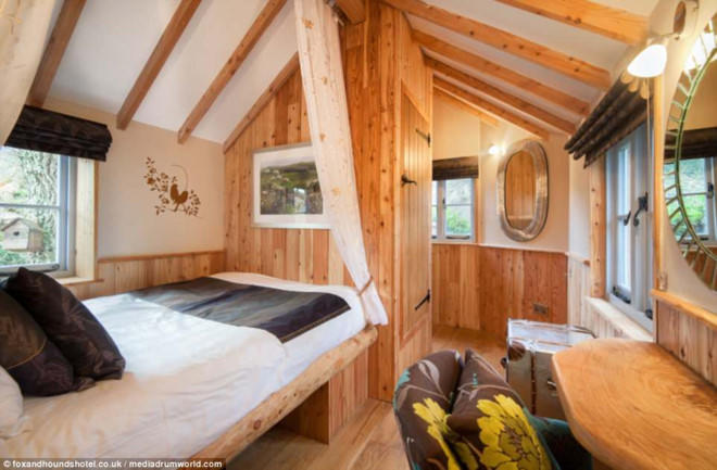 Kỳ ảo ngôi nhà trên cây lớn nhất nước Anh