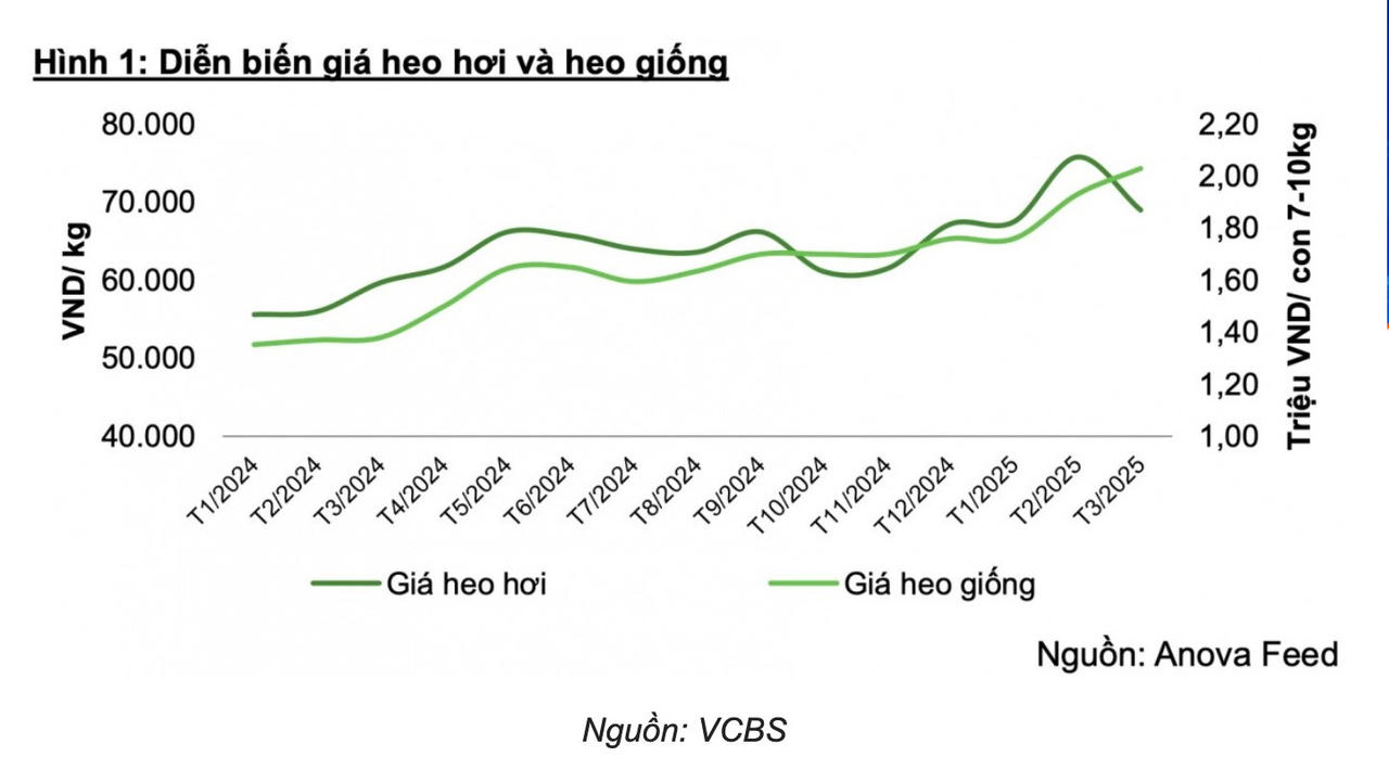Thịt lợn đắt giá, lợi nhuận năm 2025 của Dabaco vượt 1.600 tỷ đồng?