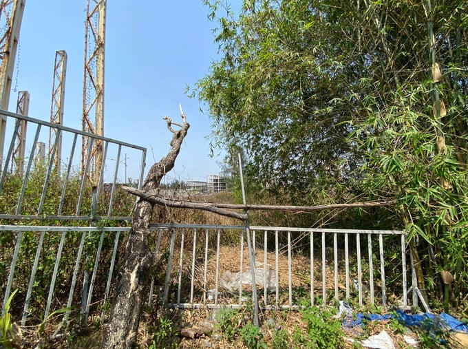 Khu vực gần cổng ra vào chính của dự án được rào lại, người không có phận sự không được ra vào bên trong