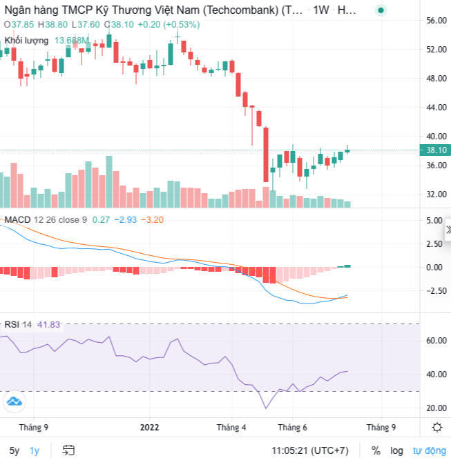 Đổ 1.100 tỷ đồng vào cổ phiếu HPG, Trí Việt (TVC) đã tạm lỗ gần 300 tỷ đồng