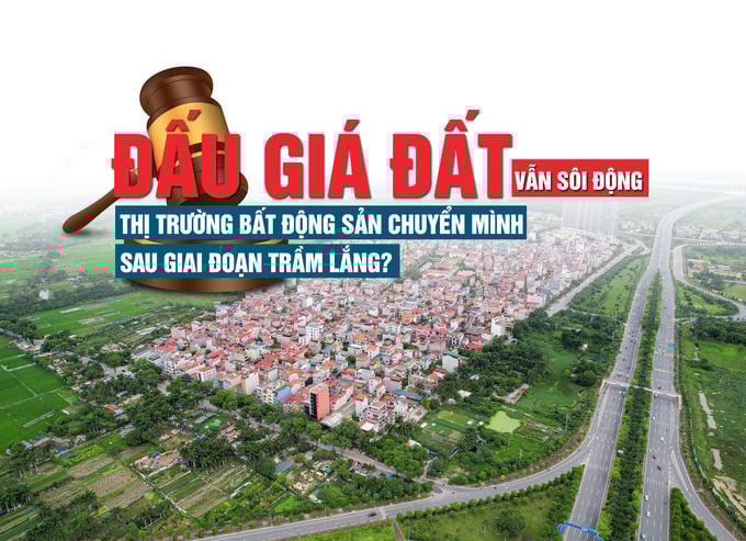 Đấu giá đất vẫn sôi động: Thị trường bất động sản chuyển mình sau giai đoạn trầm lắng?
