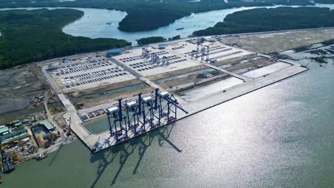 Công ty cảng Phước An thực hiện nhiều giao dịch không đúng quy định pháp luật.