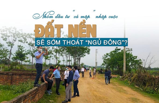 Nhóm đầu tư “cá mập” nhập cuộc, đất nền sẽ thoát “ngủ đông”?