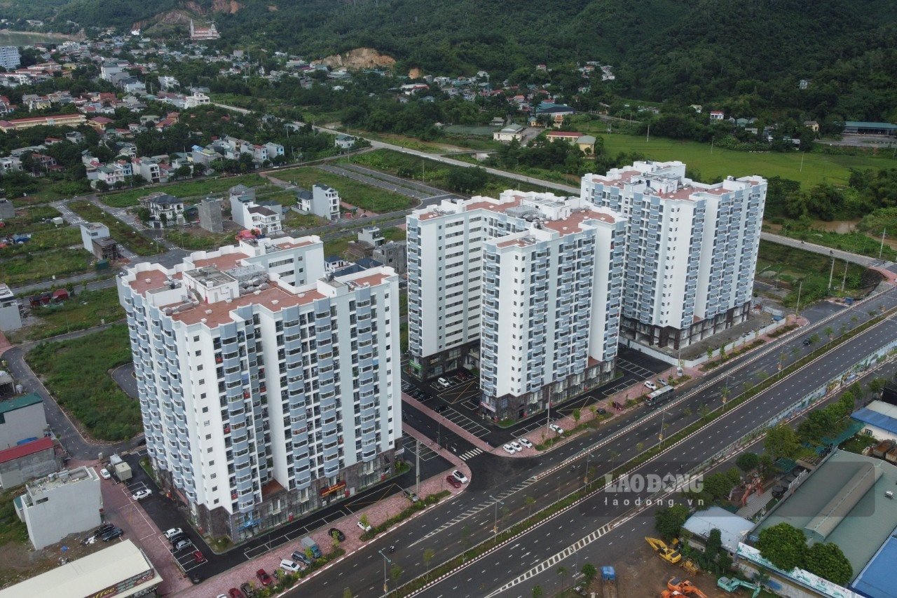 Công ty Sao Vàng của ông Đỗ Duy Liên bị cưỡng chế thuế 33 tỷ đồng