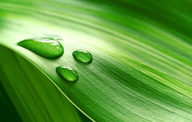 CTCK nhận định thị trường 02/01: Những tín hiệu tích cực cho tăng trưởng của thị trường năm 2018