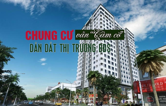 Phân khúc chung cư vẫn “cầm cờ” dẫn dắt thị trường bất động sản