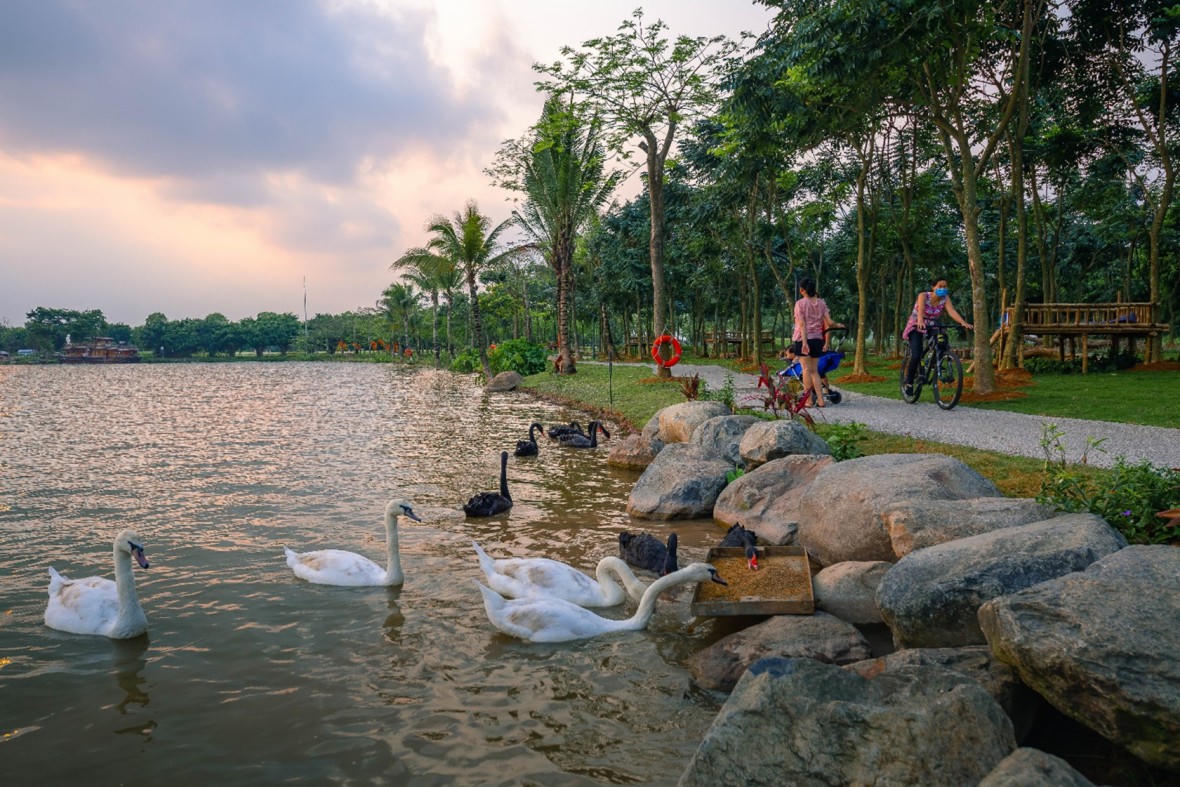 Những mảng rừng xanh vun đắp tâm hồn tại KĐT Ecopark