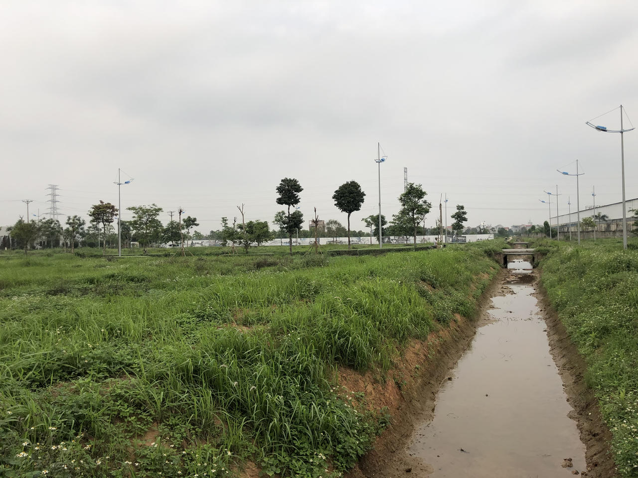 Sốt đất và bài học cay đắng từ 'vườn rau bất đắc dĩ' The Diamond Park của Videc ở Mê Linh