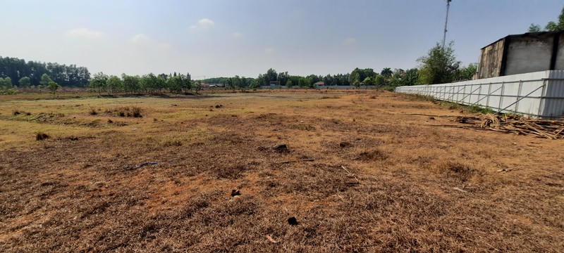 Bên trong dự án Bàu Cạn - Long Thành chỉ là bãi đất trống. (Ảnh: QP). &nbsp;