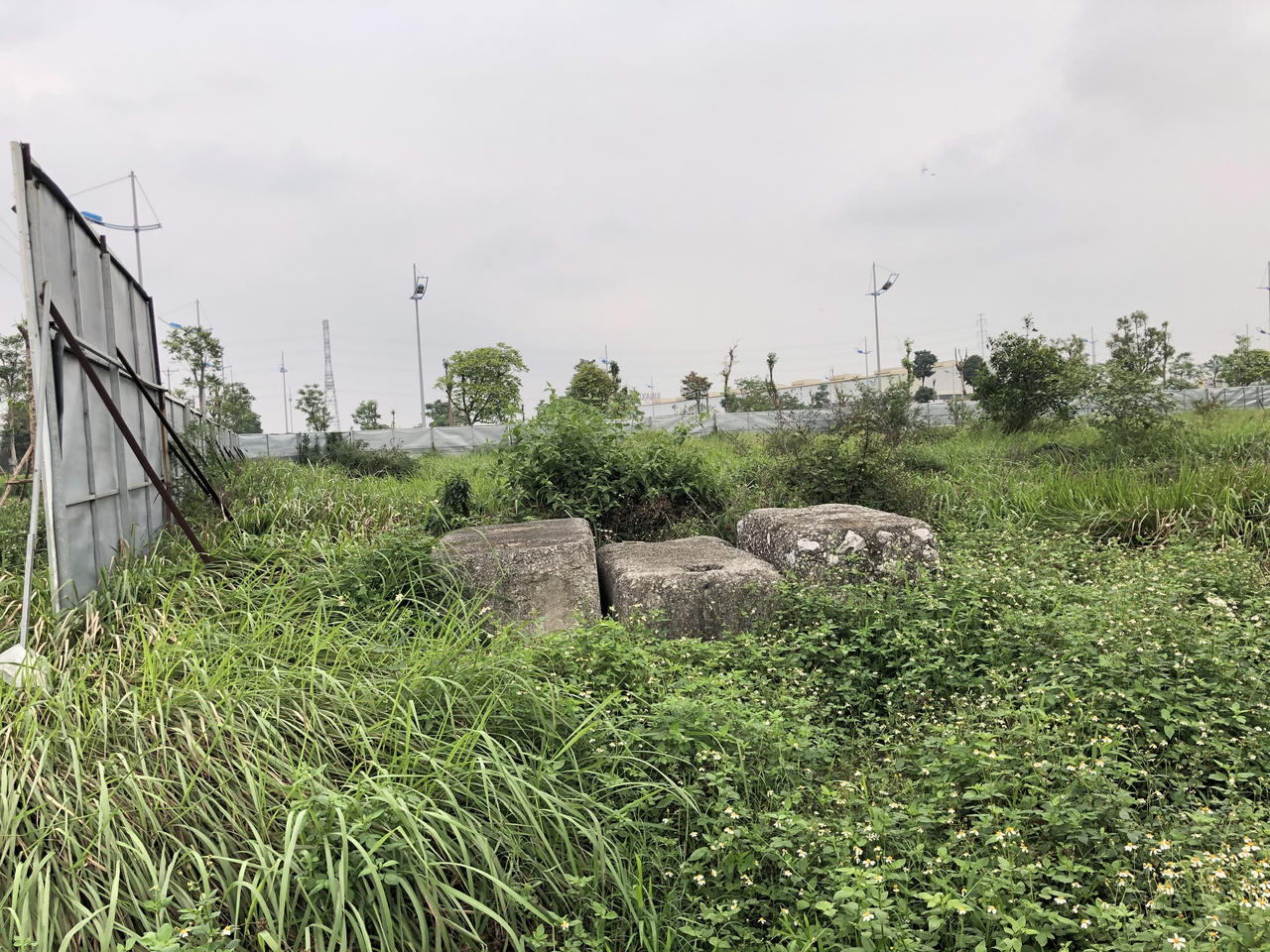 Sốt đất và bài học cay đắng từ 'vườn rau bất đắc dĩ' The Diamond Park của Videc ở Mê Linh