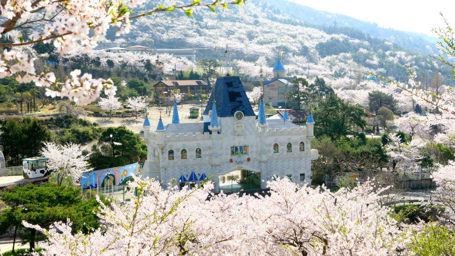 đảo Jeju thơ mộng -tinnhanhnhadat.vn