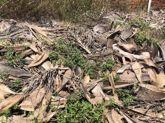 Quyết định quy hoạch được UBND TP. Đà Nẵng ký vào ngày 26/6/2014 và dự án này từng dự định khởi công tháng 5/2017, hoàn thành quý II/2018.