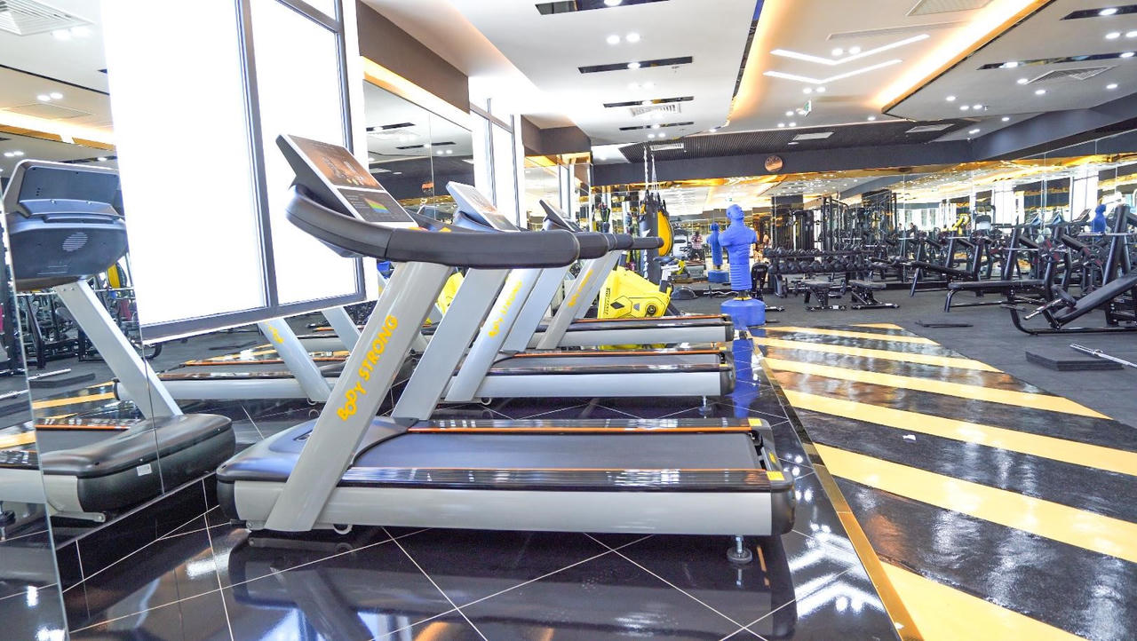 Thiết kế phòng tập gym đạt tiêu chuẩn 5 sao, quản lý bởi Alpha Health Club. &nbsp;