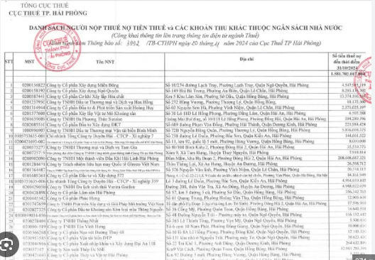 Công ty Dầu khí Hải Linh Hải Phòng nợ thuế hơn 208 tỷ đồng