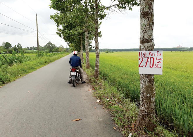Bất động sản 24h: Bất động sản Long Thành ồ ạt bán đất tái định cư