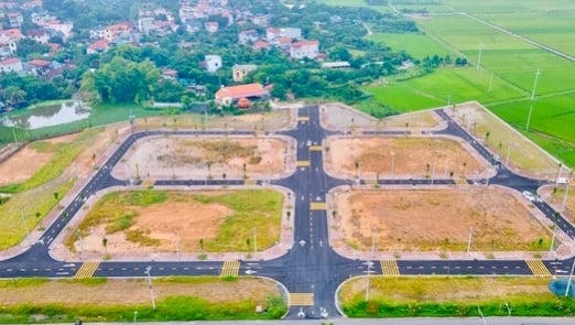 Người tham gia đấu giá đất rồi bỏ cọc có thể bị cấm cửa 5 năm