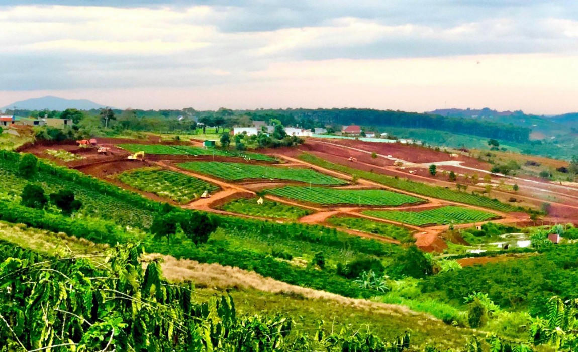 Lâm Đồng không có dự án 300 Lộc Tân