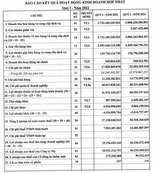 BCTC quý 1/2022 tại TIS. &nbsp;