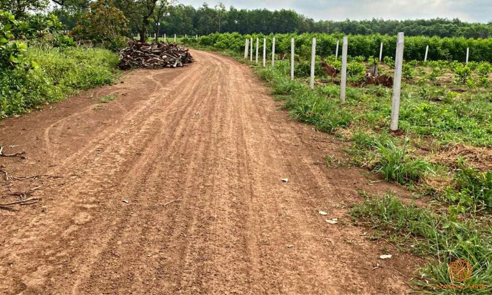 Đất lô vài trăm triệu lừa bán 3 tỷ, cả nhóm giăng bẫy lùa gà bắt