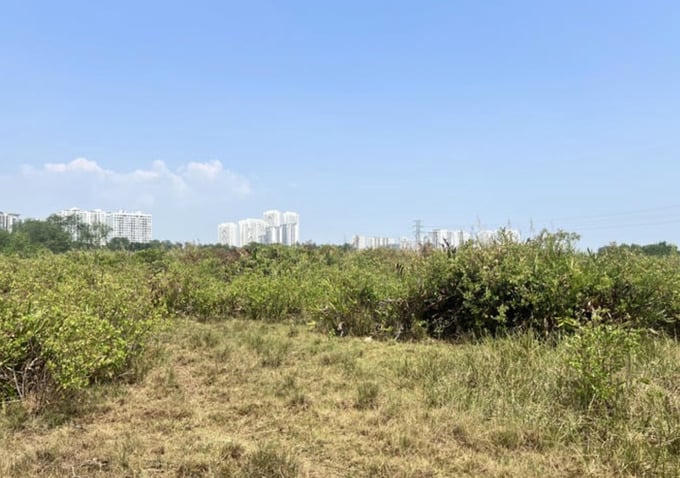 Duwan án Khu dân cư Bắc Phước Kiển do Công ty Cổ phần Quốc Cường Gia Lai làm chủ đầu tư từng bị Công ty Cổ phần Đầu tư Sunny Island tố cáo đến Công an Tp.HCM về việc bán khi chưa giải tỏa, đền bù xong.