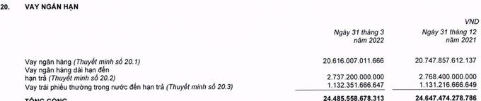 Bách Hoá Xanh lỗ hơn 4.000 tỷ đồng, Thế giới di động vẫn cố bơm vốn cứu và niêm yết