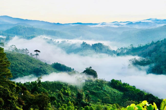Măng Đen còn được gọi là "Đà Lạt thứ hai" của Tây Nguyên