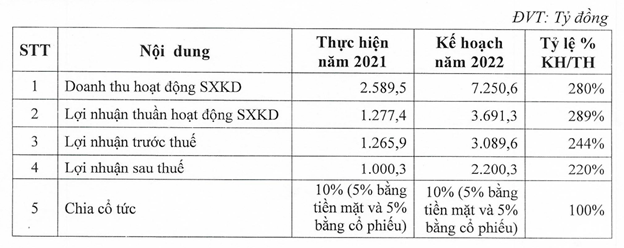 Bảng kế hoạch doanh thu, lợi nhuận năm 2022 của BCG &nbsp;