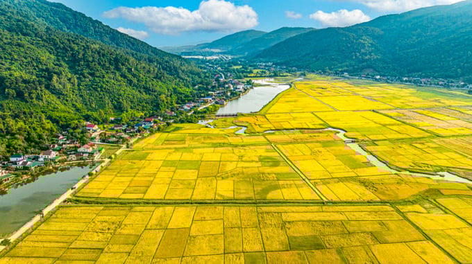 Người dân sẽ có thêm nhiều quyền lợi theo Luật Đất đai 2024 liên quan đến việc bồi thường khi bị Nhà nước thu hồi đất. Ảnh: Internet