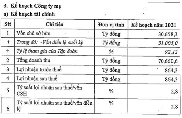 Chi tiết kế hoạch tài chính công ty mẹ BSR. (Nguồn:&nbsp;BSR). &nbsp;