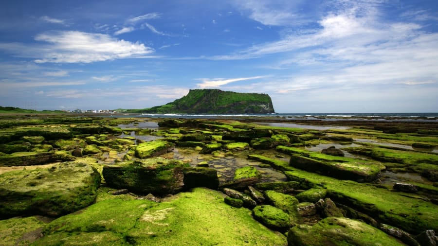đảo Jeju thơ mộng -tinnhanhnhadat.vn
