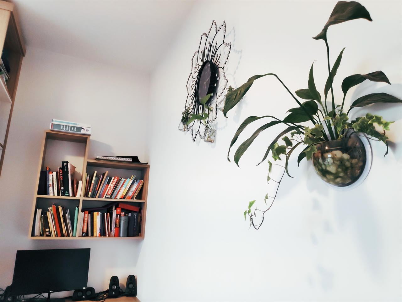 Cần lưu ý điều gì khi nuôi dưỡng cây xanh trong nhà?