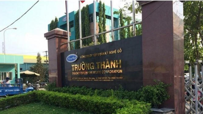Gỗ Trường Thành bị xử phạt vì công bố sai lệch số liệu. &nbsp;